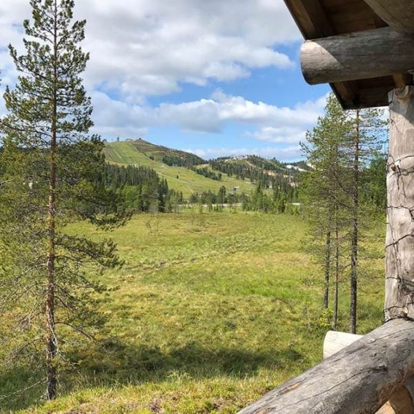 villarukantuike-kesa1